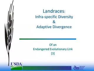 landraces infra specific diversity adaptive divergence