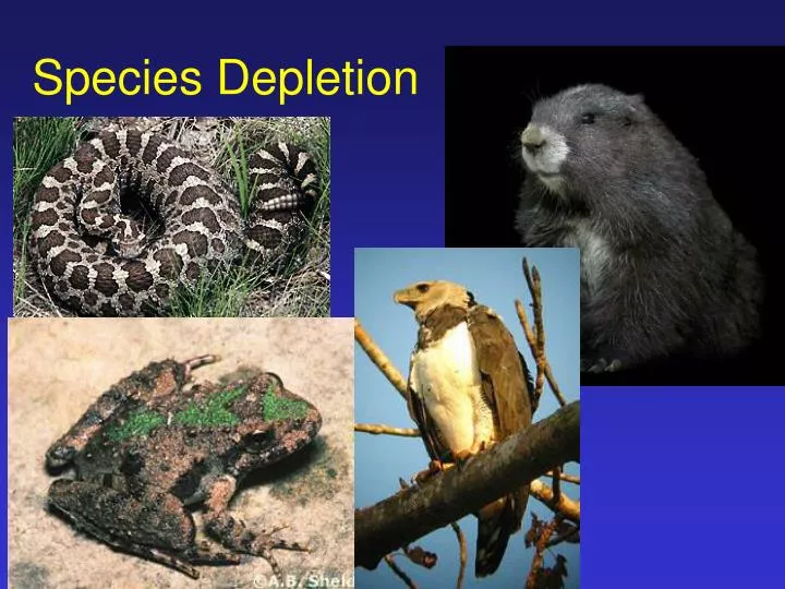 species depletion