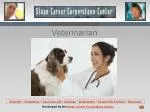 Veterinarian - slide 1