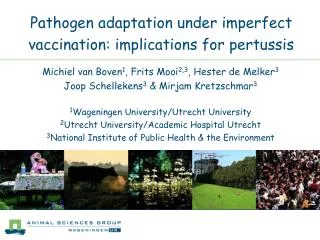 Pathogen adaptation under imperfect vaccination: implications for pertussis
