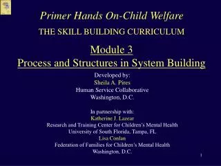 THE SKILL BUILDING CURRICULUM Module 3 Process and Structures in System Building