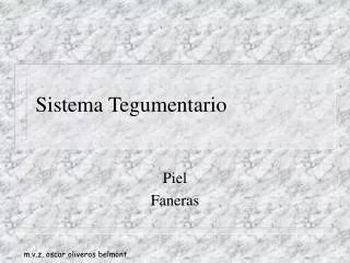 sistema tegumentario