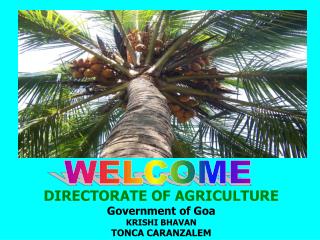 DIRECTORATE OF AGRICULTURE Government of Goa KRISHI BHAVAN TONCA CARANZALEM