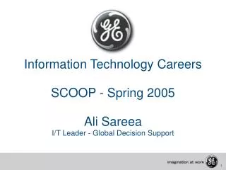 Information Technology Careers SCOOP - Spring 2005 Ali Sareea I/T Leader - Global Decision Support