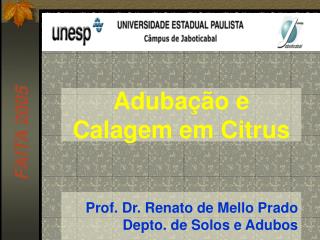 Prof. Dr. Renato de Mello Prado Depto. de Solos e Adubos