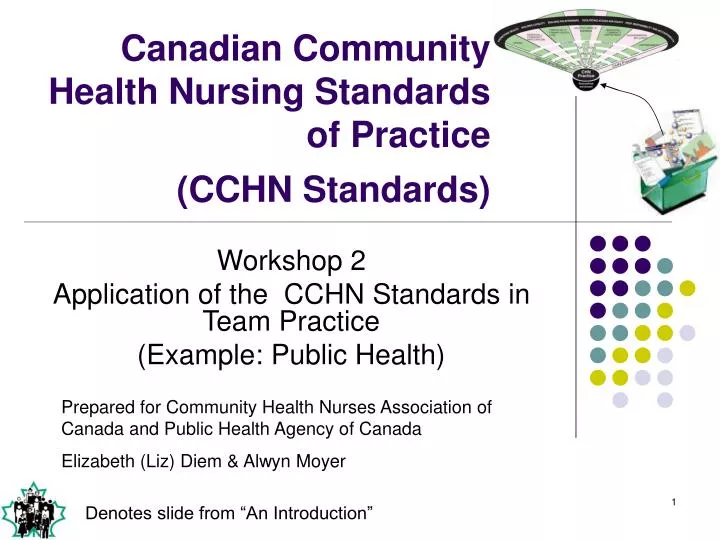 canadian community health nursing standards of practice cchn standards