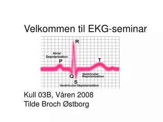 Velkommen til EKG-seminar Kull 03B, Våren 2008 Tilde Broch Østborg
