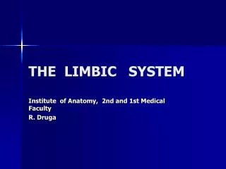 THE LIMBIC SYSTEM