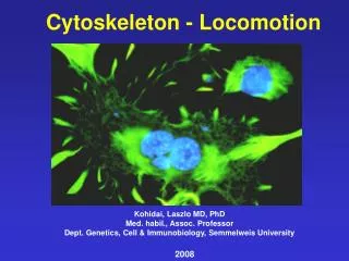 Cytoskeleton - Locomotion
