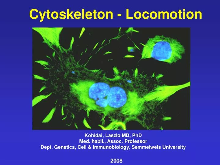 cytoskeleton locomotion