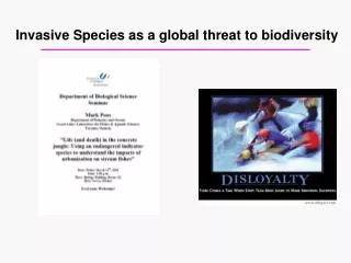 Invasive Species as a global threat to biodiversity