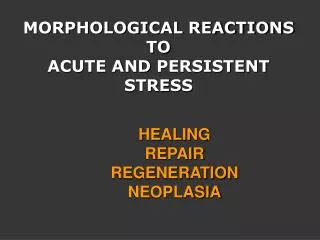 MORPHOLOGICAL REACTIONS TO ACUTE AND PERSISTENT STRESS HEALING REPAIR REGENERATION NEOPLASIA