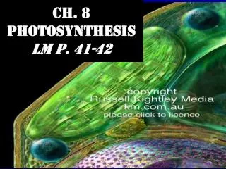 Ch. 8 Photosynthesis LM p. 41-42