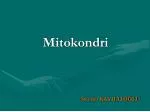 Mitokondri - slide 1