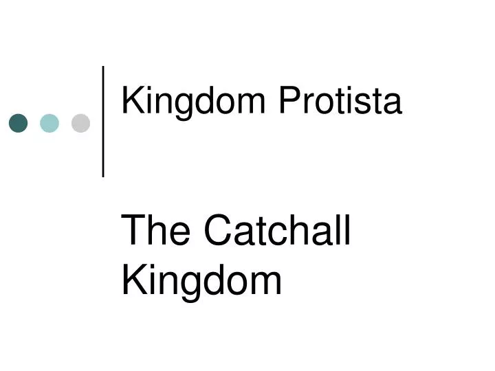 kingdom protista