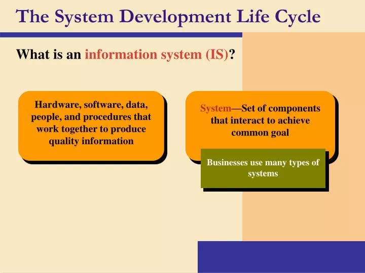 the system development life cycle