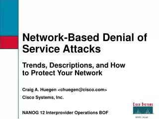 Network-Based Denial of Service Attacks