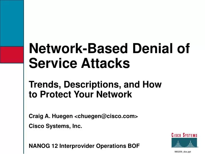network based denial of service attacks