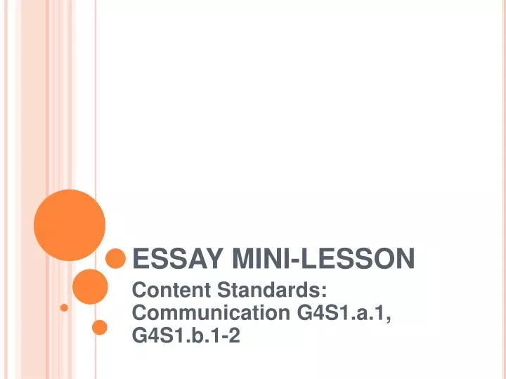 essay mini lesson