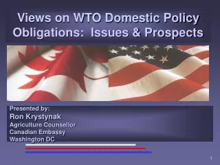 Views on WTO Domestic Policy Obligations: Issues &amp; Prospects