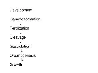 Development Gamete formation  Fertilization 	 Cleavage 	 Gastrulation 	  Organogenesis 	  Growth