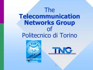 The Telecommunication Networks Group of Politecnico di Torino