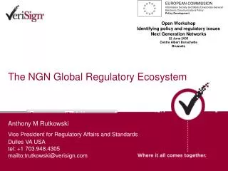 The NGN Global Regulatory Ecosystem