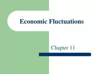 Economic Fluctuations