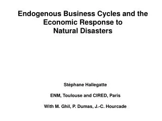 Endogenous Business Cycles and the Economic Response to Natural Disasters
