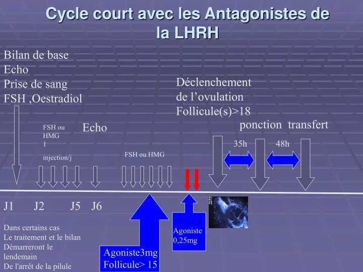 cycle court avec les antagonistes de la lhrh