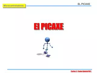 el picaxe
