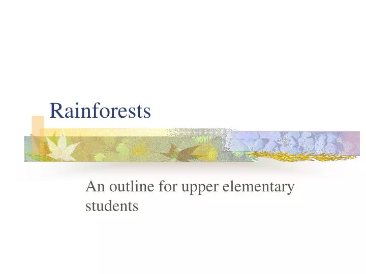 rainforests