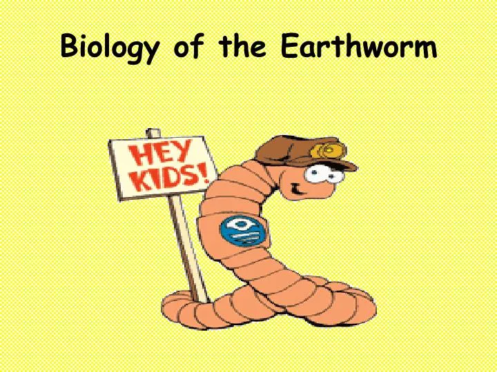 biology of the earthworm