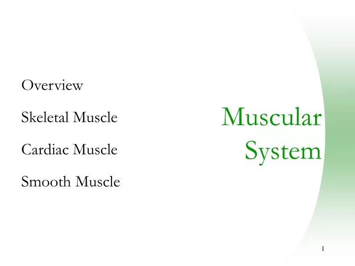 overview skeletal muscle cardiac muscle smooth muscle