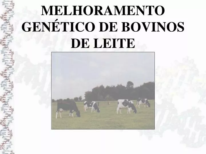melhoramento gen tico de bovinos de leite