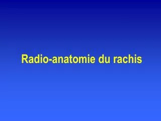 radio anatomie du rachis