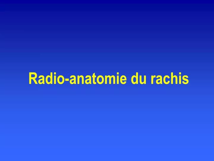 radio anatomie du rachis