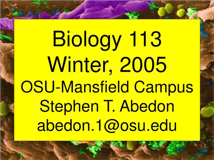 biology 113 winter 2005 osu mansfield campus stephen t abedon abedon 1@osu edu