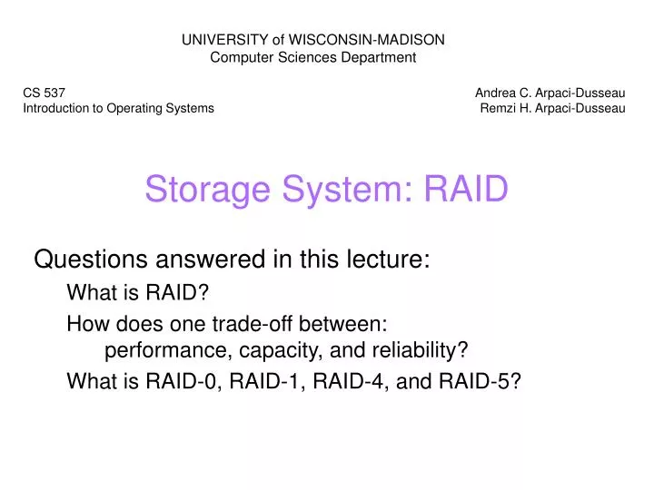 storage system raid