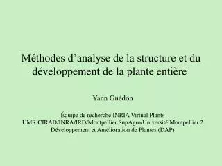 Méthodes d’analyse de la structure et du développement de la plante entière 