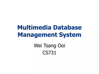 Multimedia Database Management System
