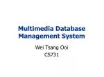 Multimedia Database Management System - slide 1