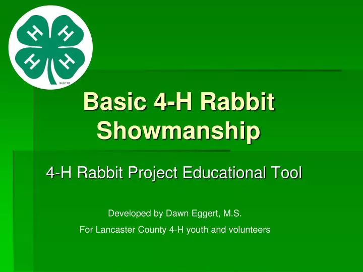 basic 4 h rabbit showmanship