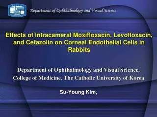Effects of Intracameral Moxifloxacin, Levofloxacin, and Cefazolin on Corneal Endothelial Cells in Rabbits