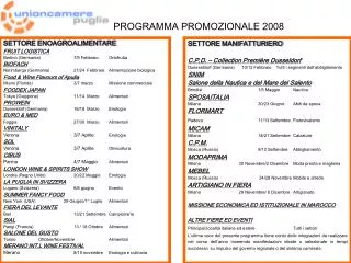 PROGRAMMA PROMOZIONALE 2008