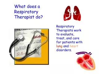 What does a Respiratory Therapist do?