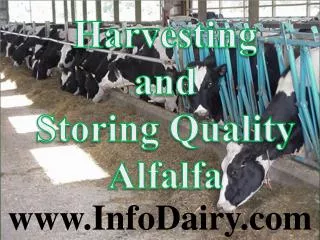 Harvesting and Storing Quality Alfalfa