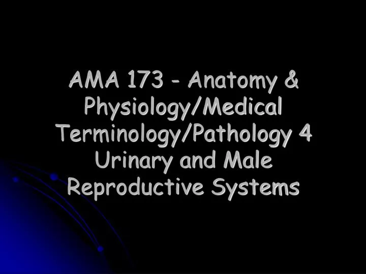 ama 173 anatomy physiology medical terminology pathology 4 urinary and male reproductive systems