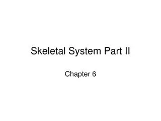 Skeletal System Part II
