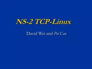 NS-2 TCP-Linux